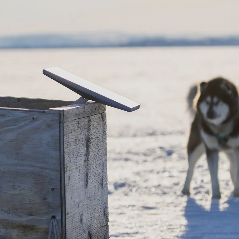 Um condutor de trenó puxado por cães no gelo perto de Iqaluit, Canadá, mantendo-se conectado com a Starlink.